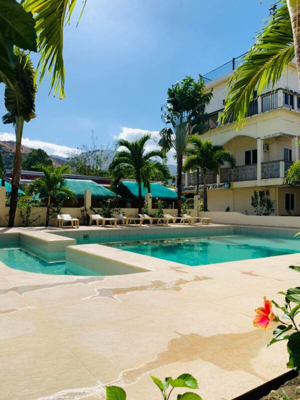 Swimming pool with palm trees in the background