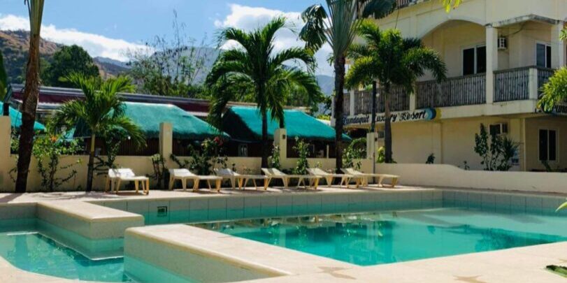 Swimming pool with palm trees in the background